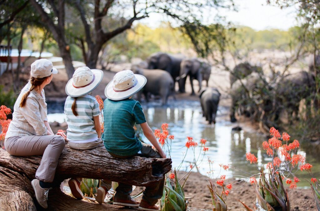 Woman and two kids sit on a tree trunk watching elephants in a waterhole