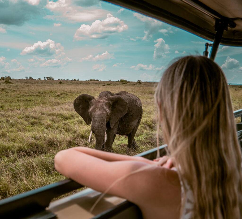 IM_KE_MAR_Client seeing elephant from jeep