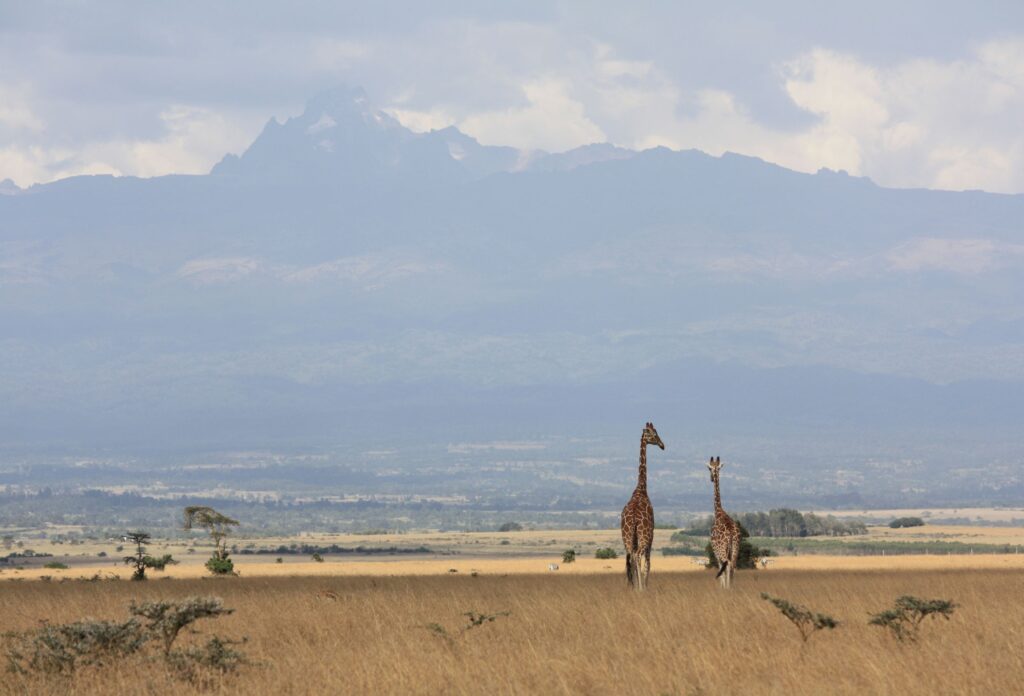 Mount Kenya and Aberdare
