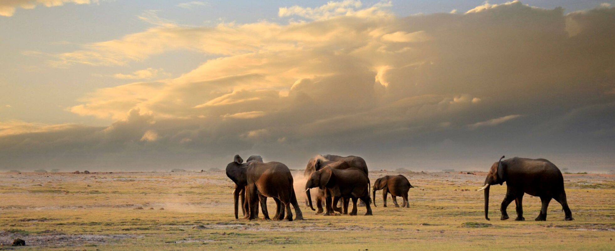 Amboseli National Park - Africa Safari Trips