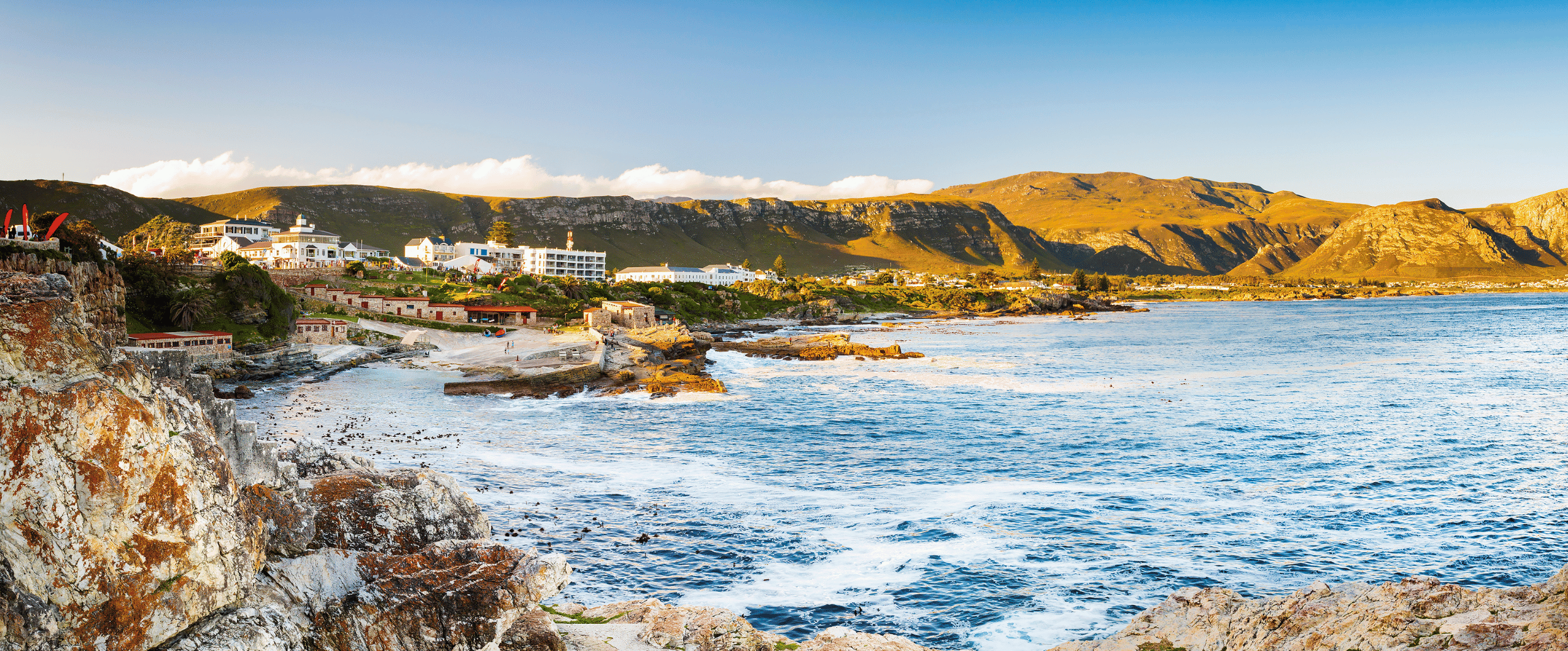 South Africa_Whale Watching_Hermanus X