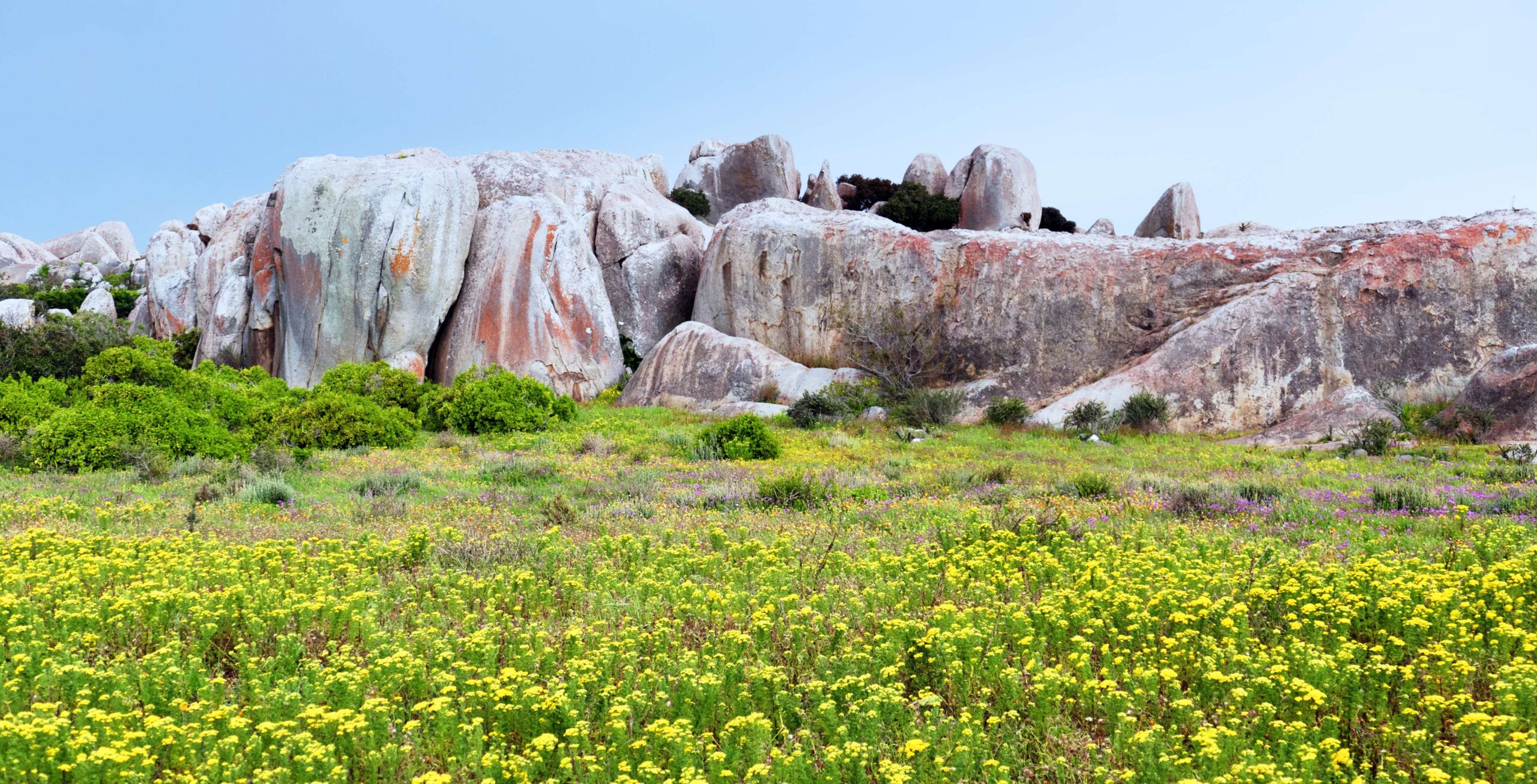 West Coast National Park - Africa Safari Trips