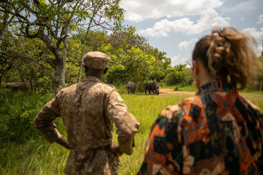 Walking safari rhino