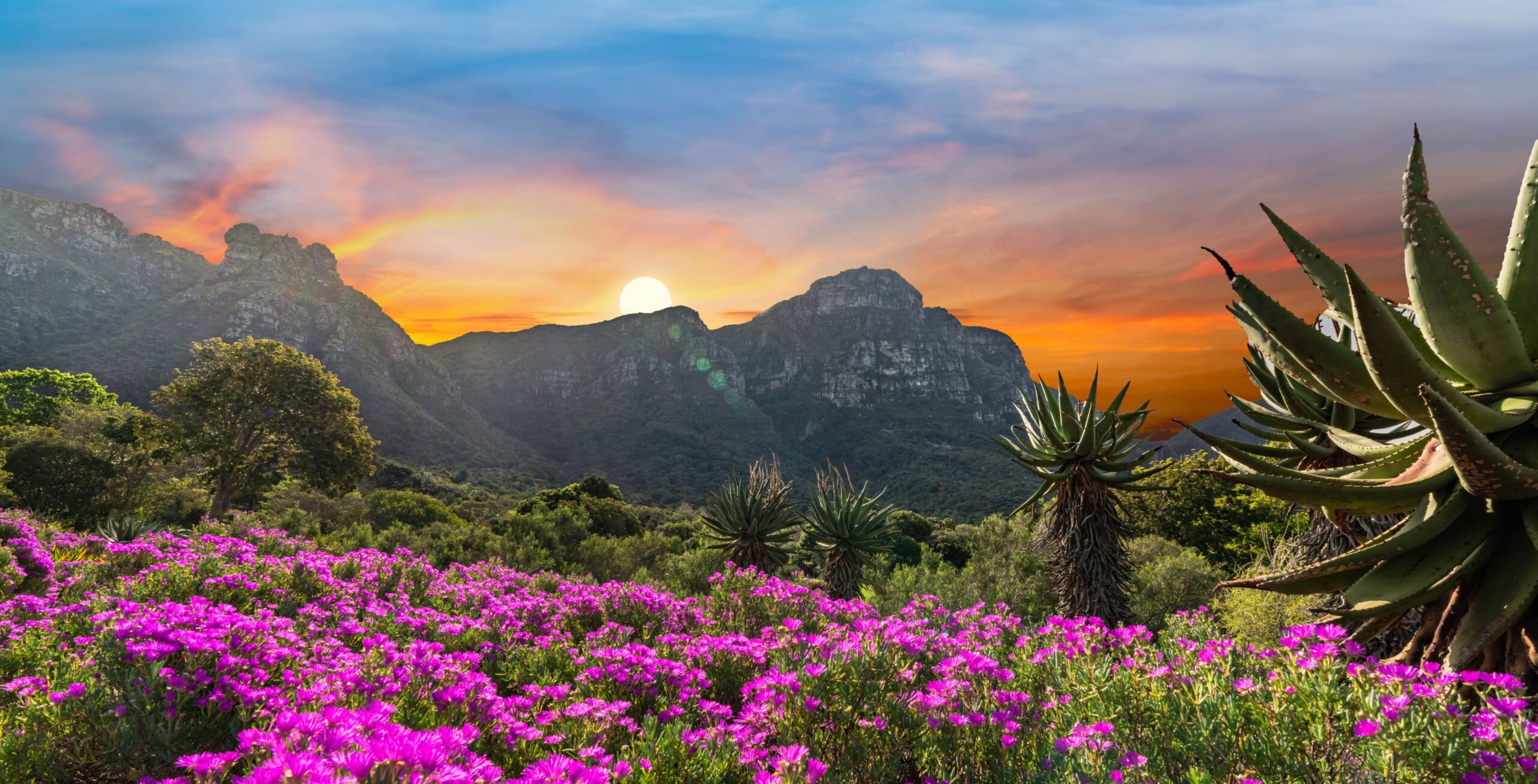 Visit Kirstenbosch Botanical Garden
