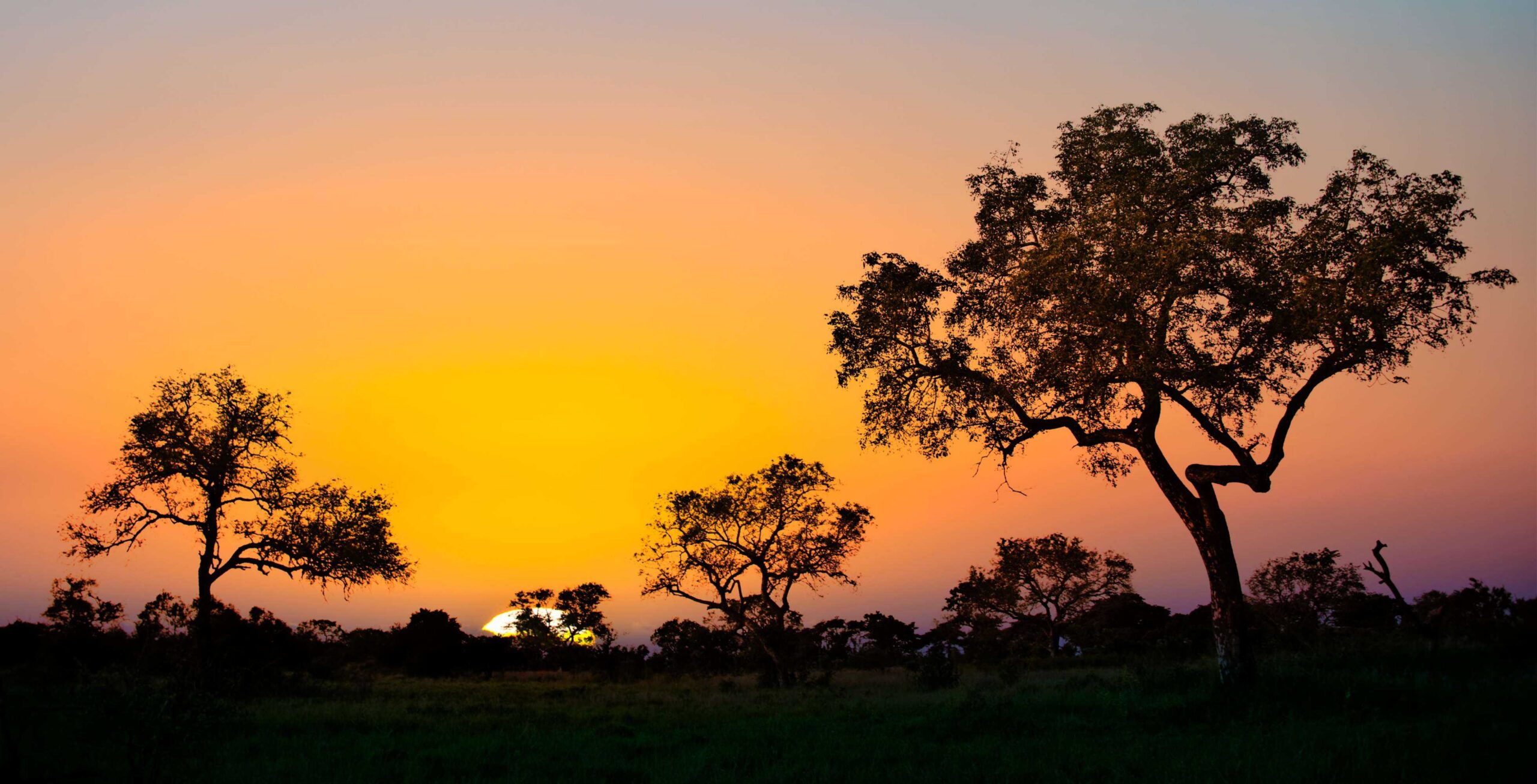 Drive from Hazyview to Kruger National Park – Paul Kruger Gate
