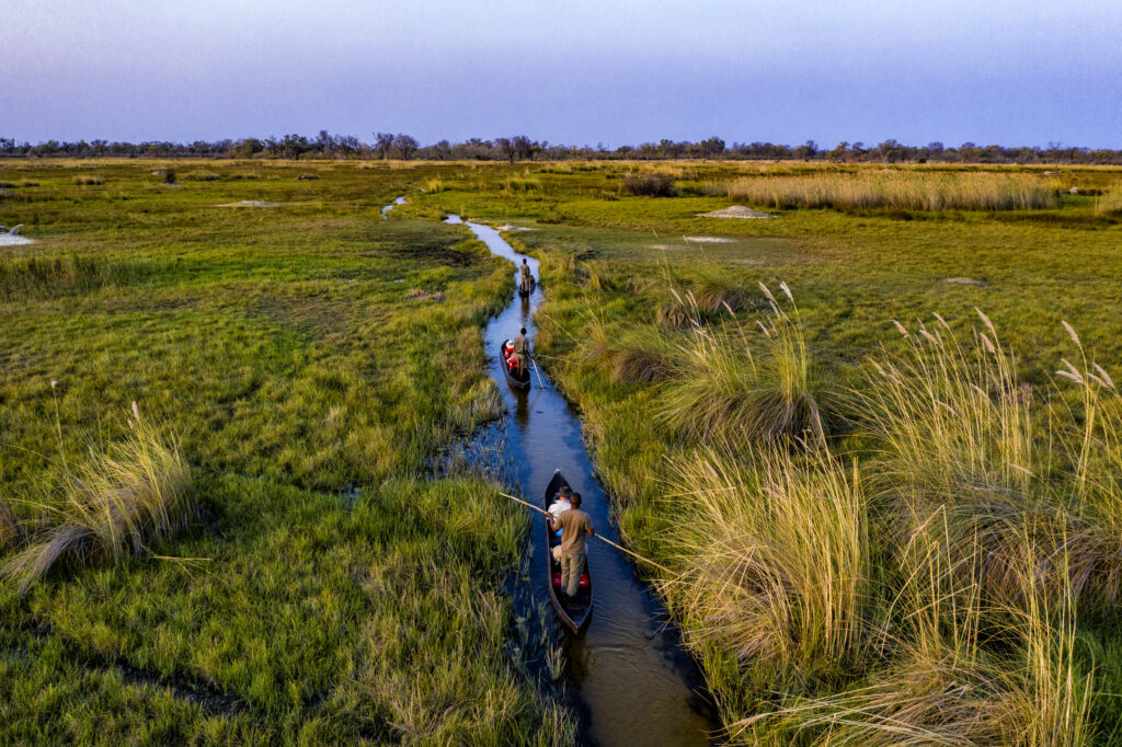 Several mokoro boats with people glide on the river surrounded by greenery