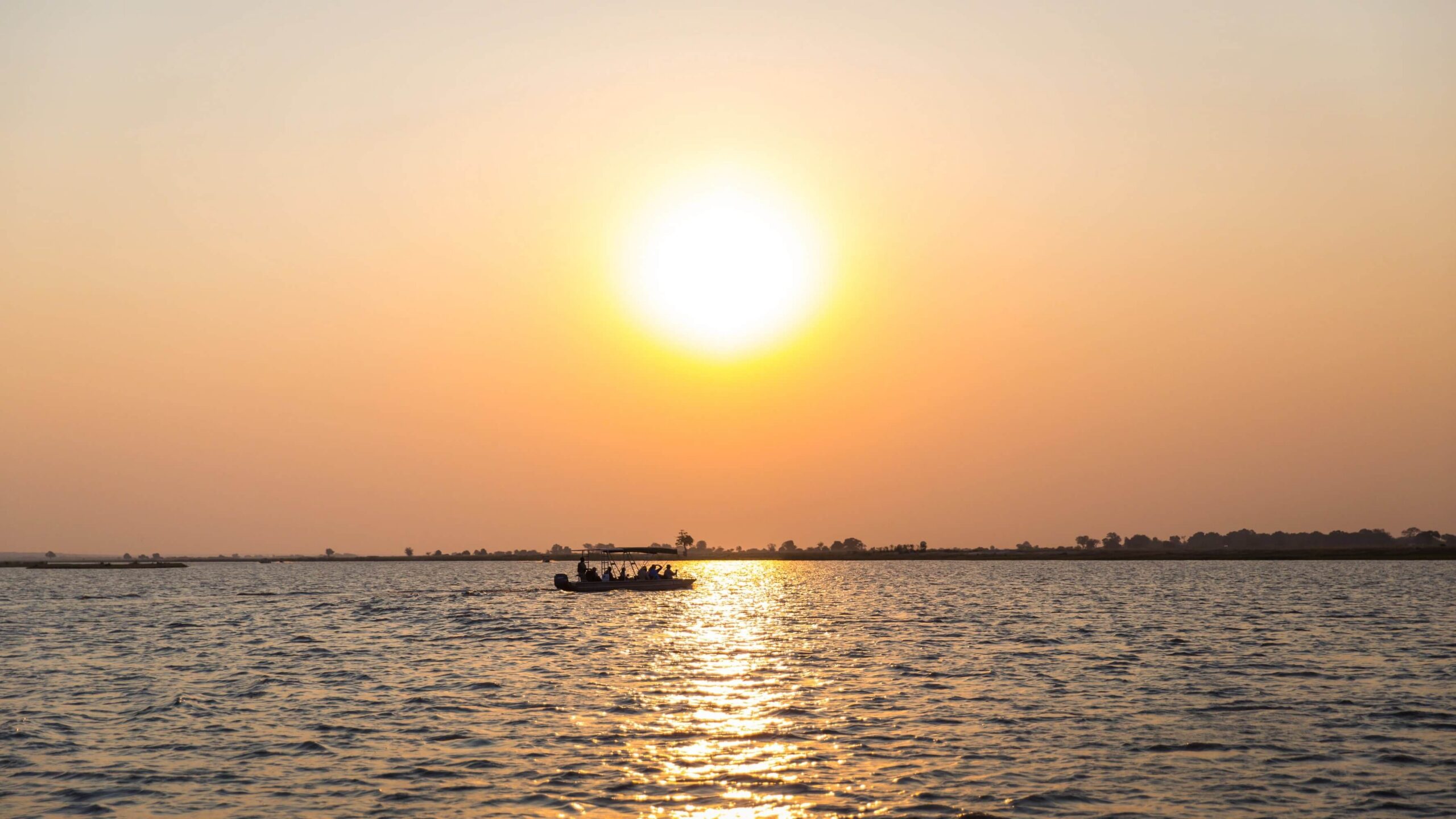 Boat cruise near Chobe Riverfront