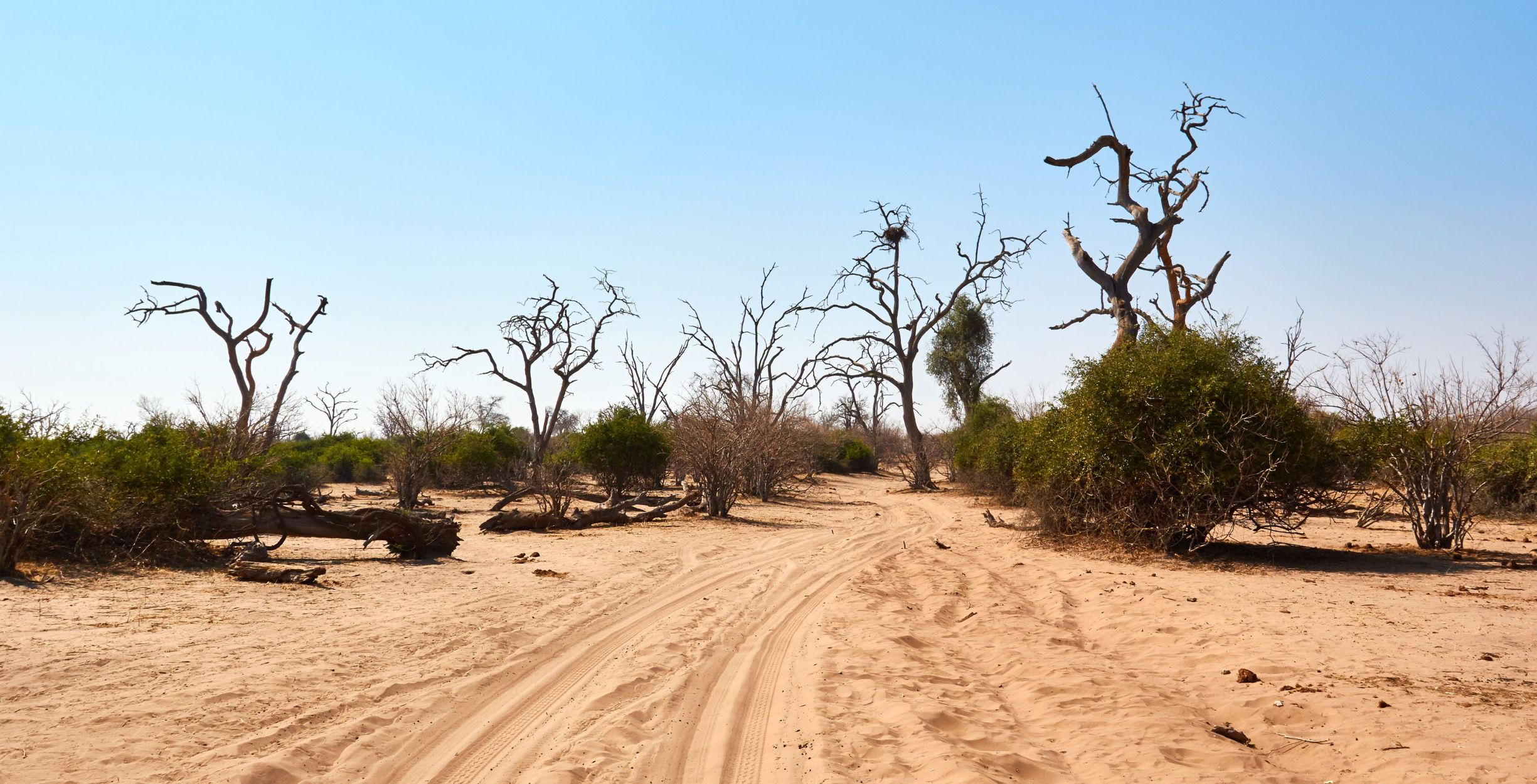 Drive from Savuti to the Khwai Community Concession