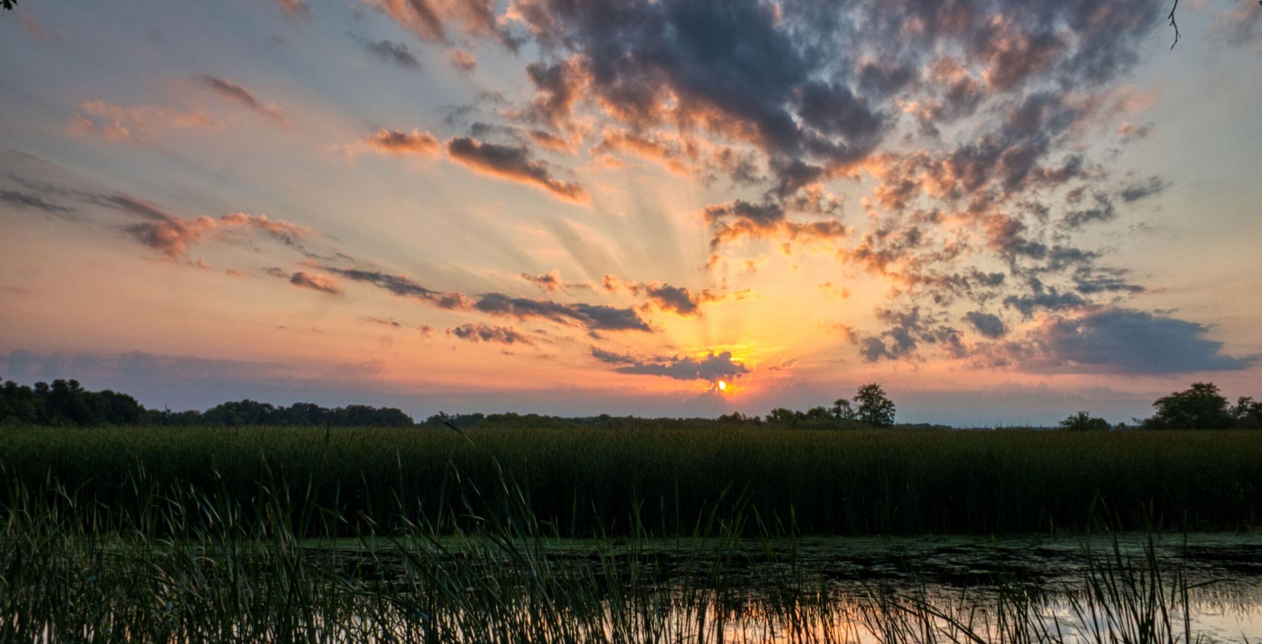 Flight from Khwai Community Concession to Savuti