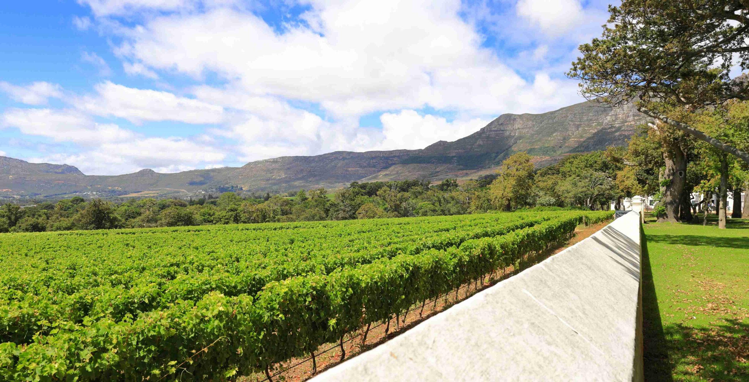 Cellar visit including wine tasting at Groot Constantia (pay on site)