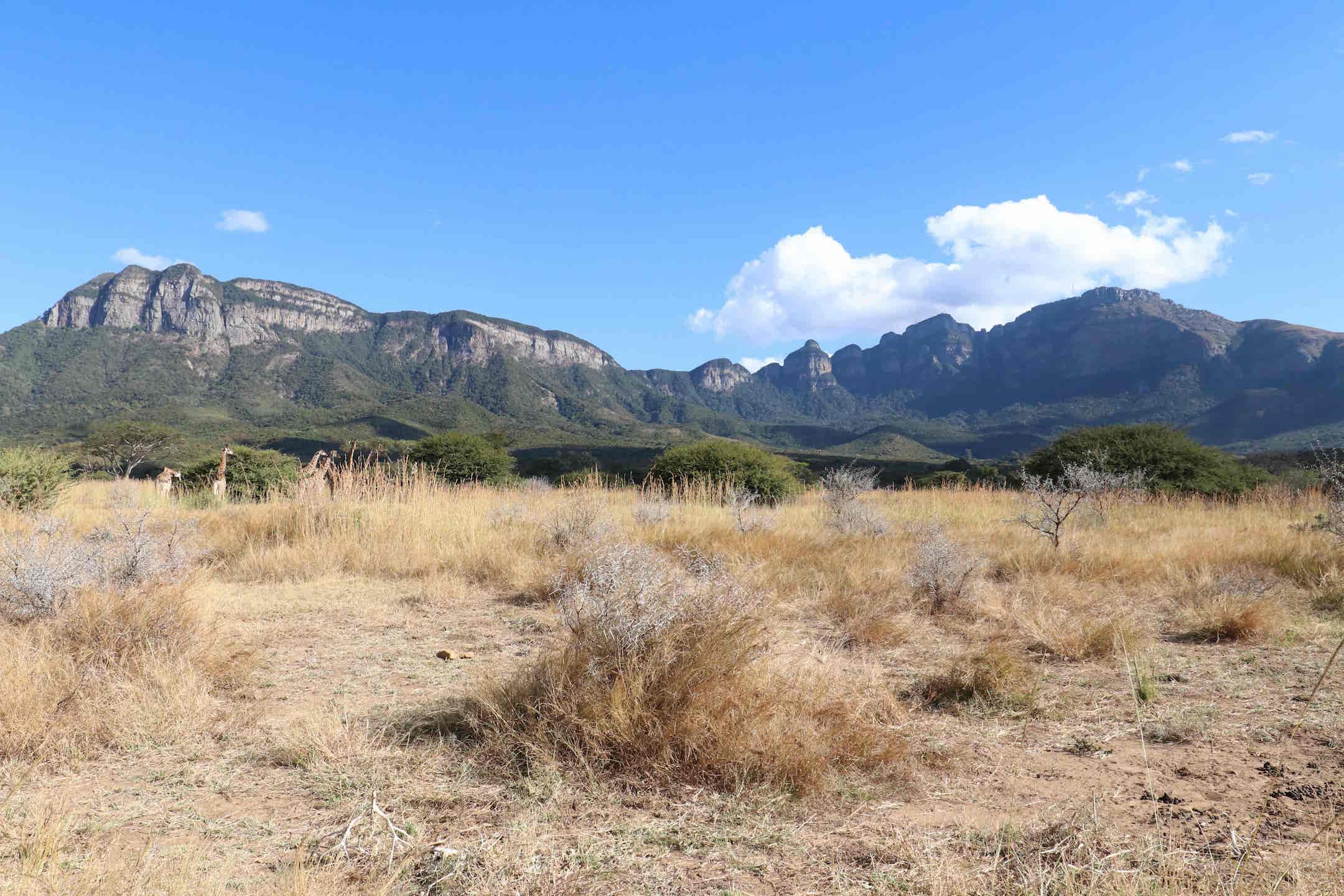 IM_SA_HOED_Moholoholo Animal Rehabilitation Centre_Landscape