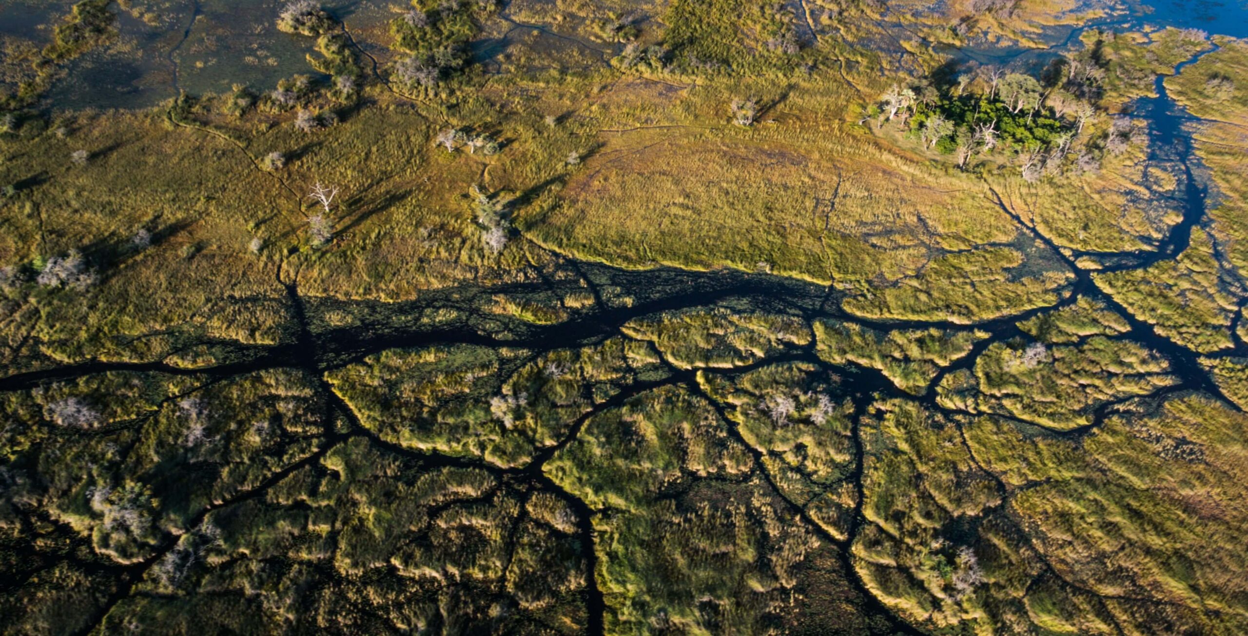 The stunning Okavango Delta
