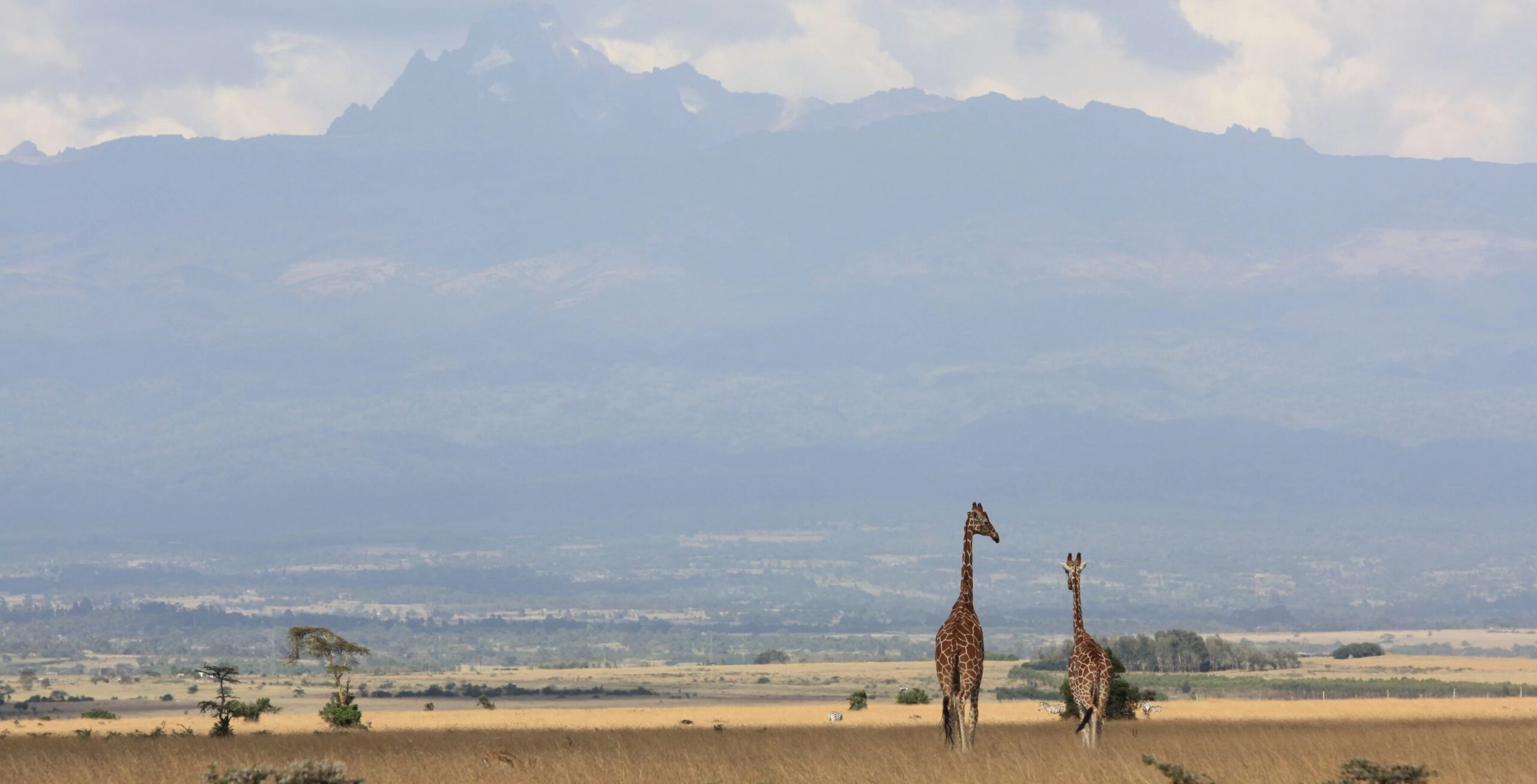 Aberdare National Park