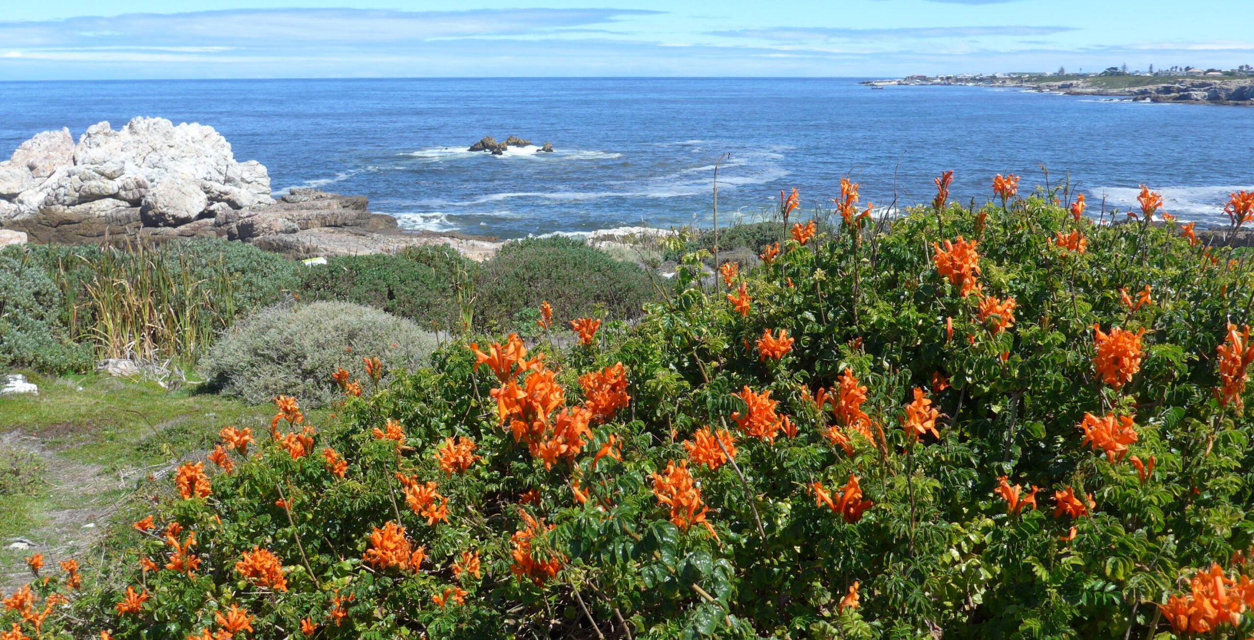 IM_SA_HER_Cliff path of Garden Route 2