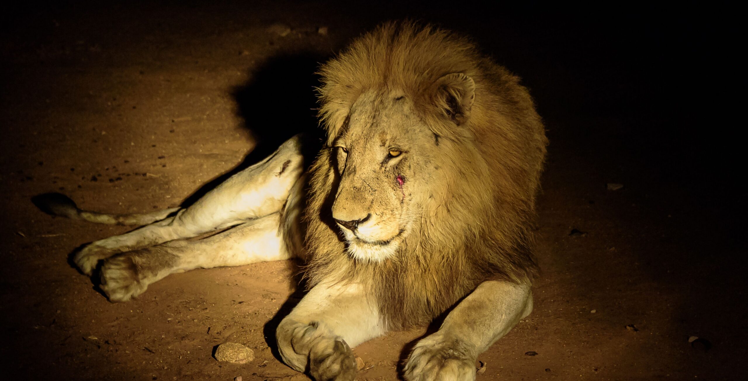 Taita Hills Wildlife Sanctuary and LUMO Conservancy