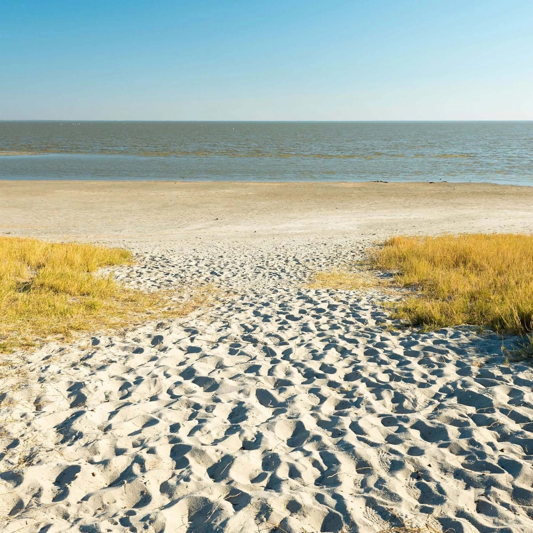Sandy way leading down to the water of Makgadikgadi Pans National Park