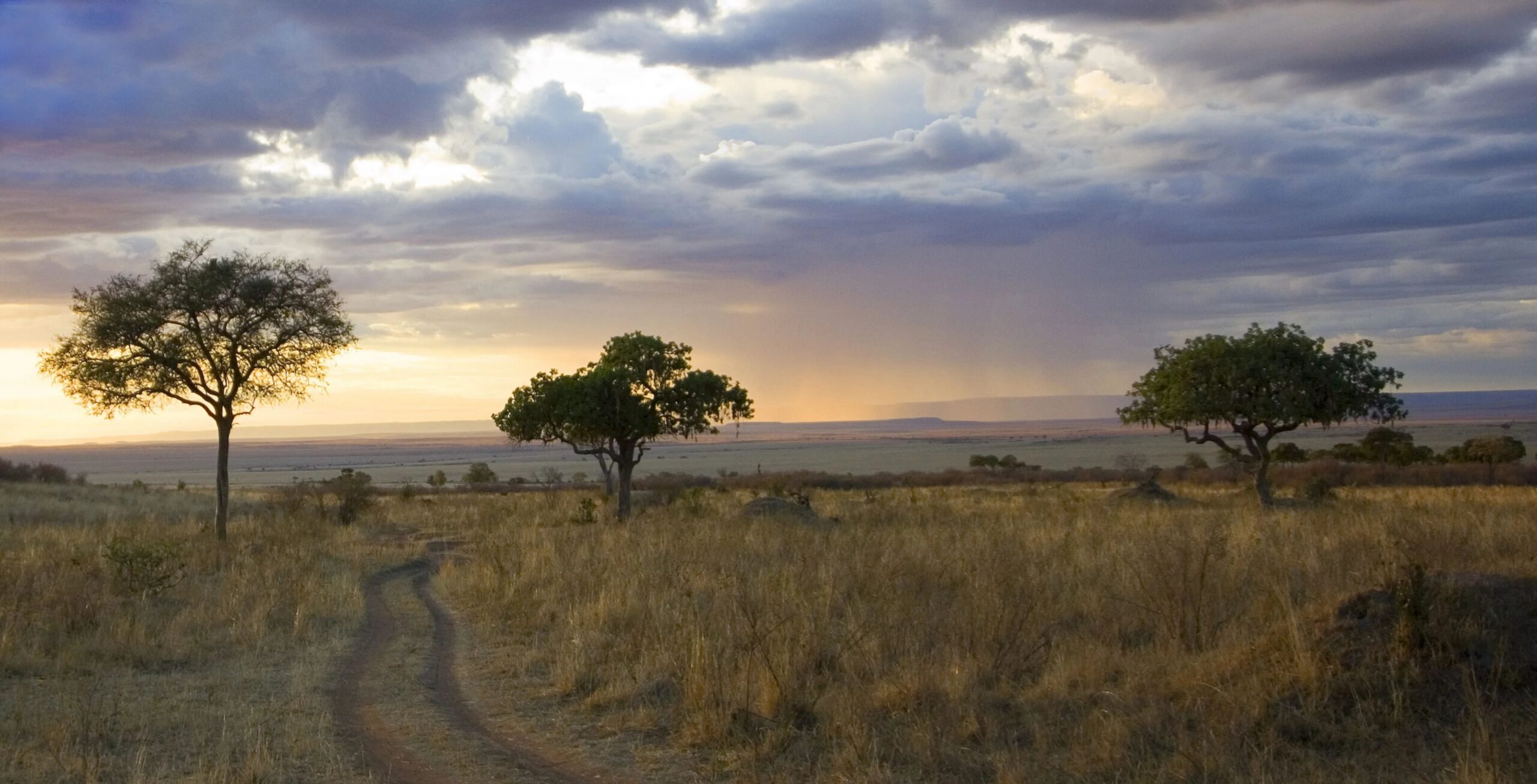 Drive to the Masai Mara National Reserve to accommodations outside the park