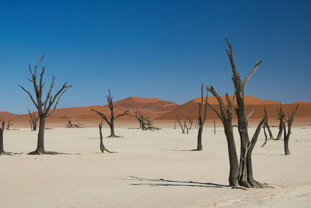 Namibia Sossusvlei