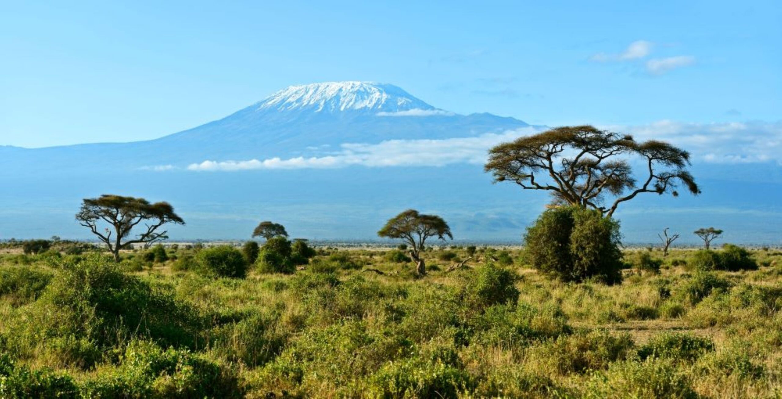 Drive from Lake Naivasha to Amboseli National Park
