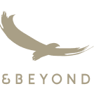 & Beyond
