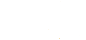 Africa Safari Trips