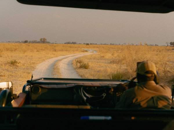 Cha Chat Metsi and Ride Botswana - Safari