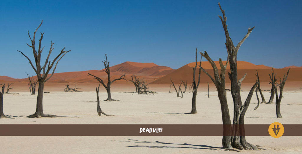 Deadvlei