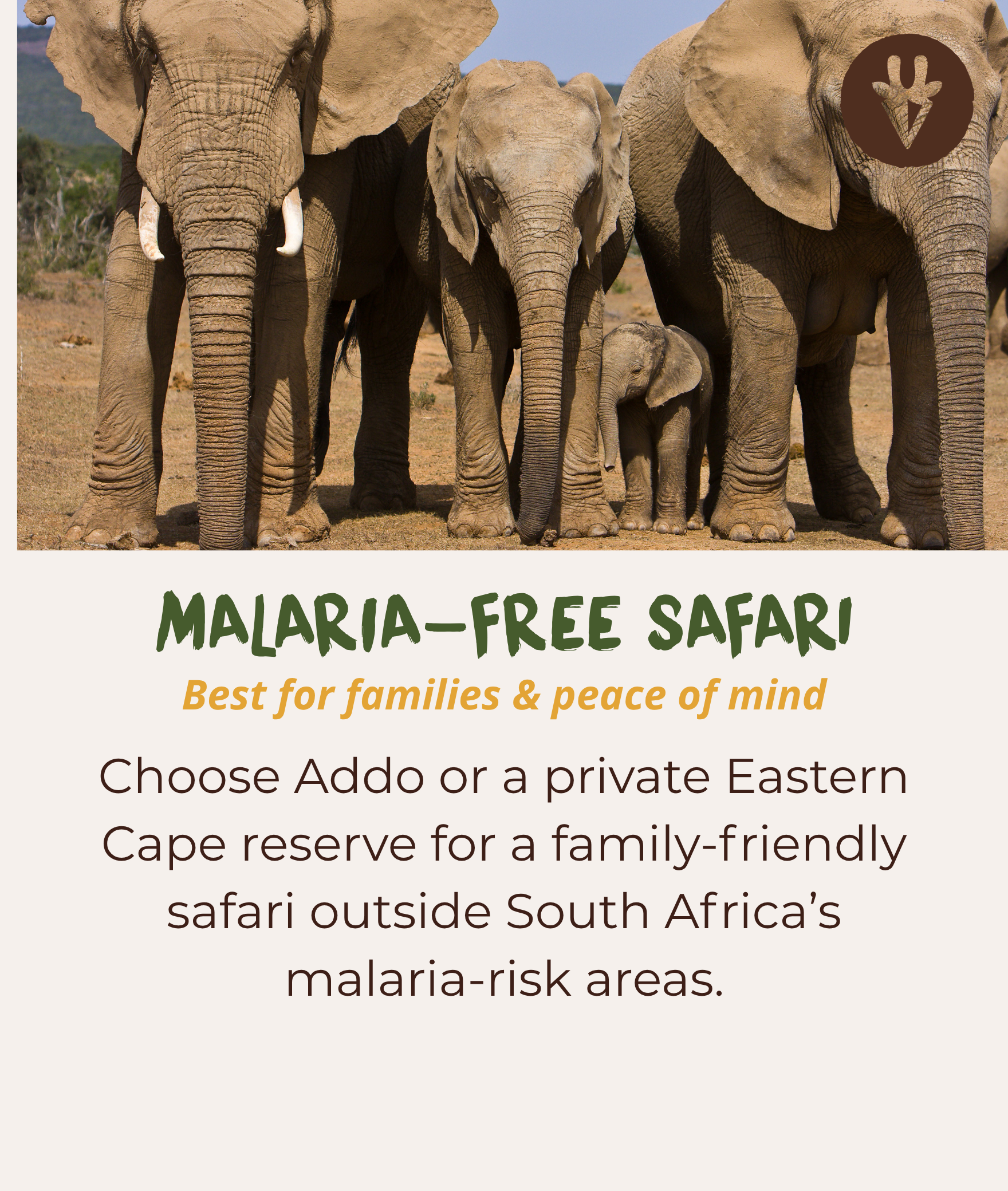 Malaria-free family safari in Addo Elephant National Park or the Eastern Cape.
