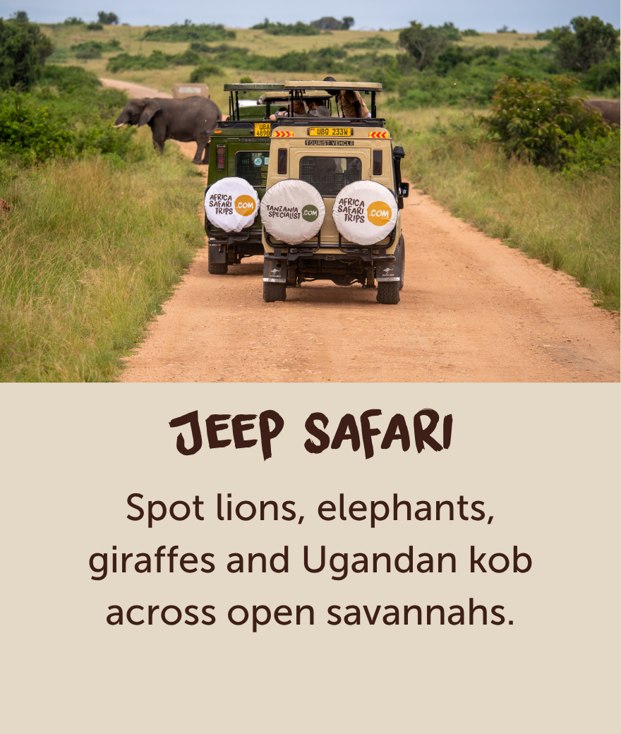 Private safari jeep passing an elephant during a game drive in Uganda.