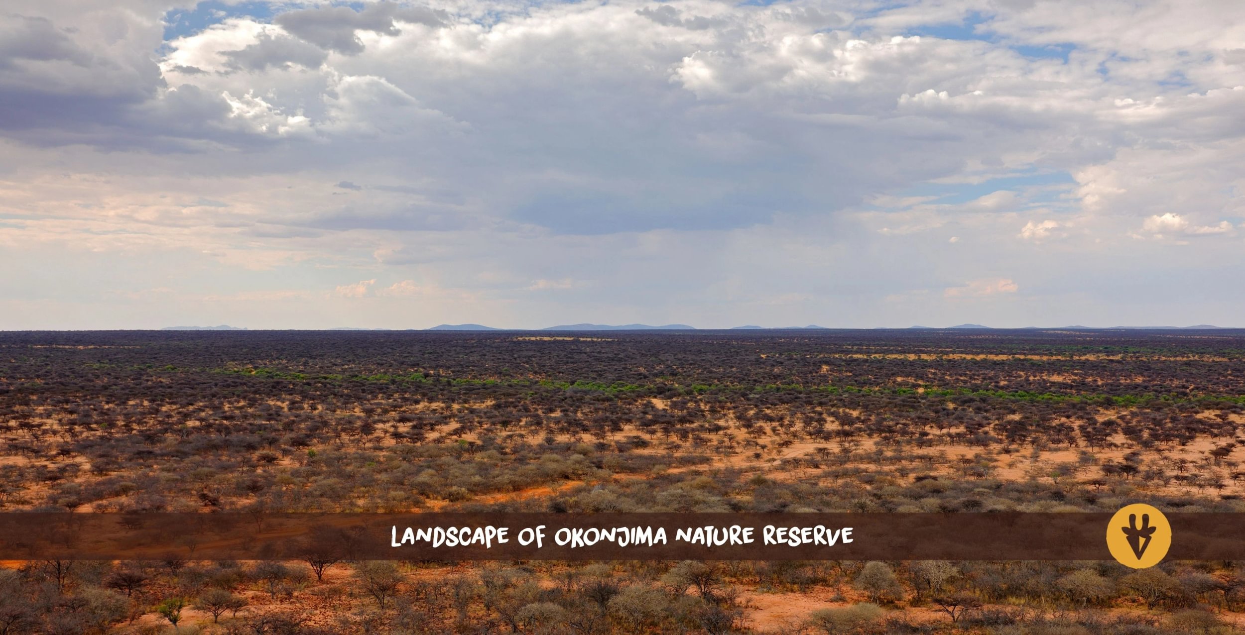 Wide landscape of Okonjima Nature Reserve in Namibia from above with bushes and trees