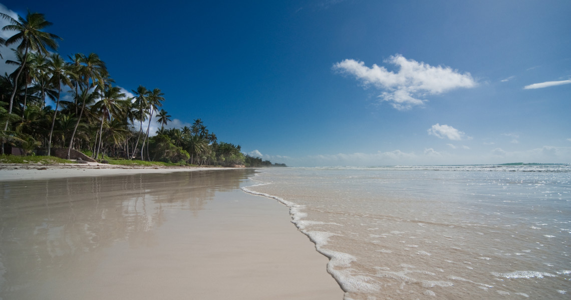Diani Beach Africa Safari Trips